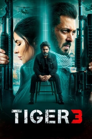Tiger 3 2023 Hindi (ORG) –